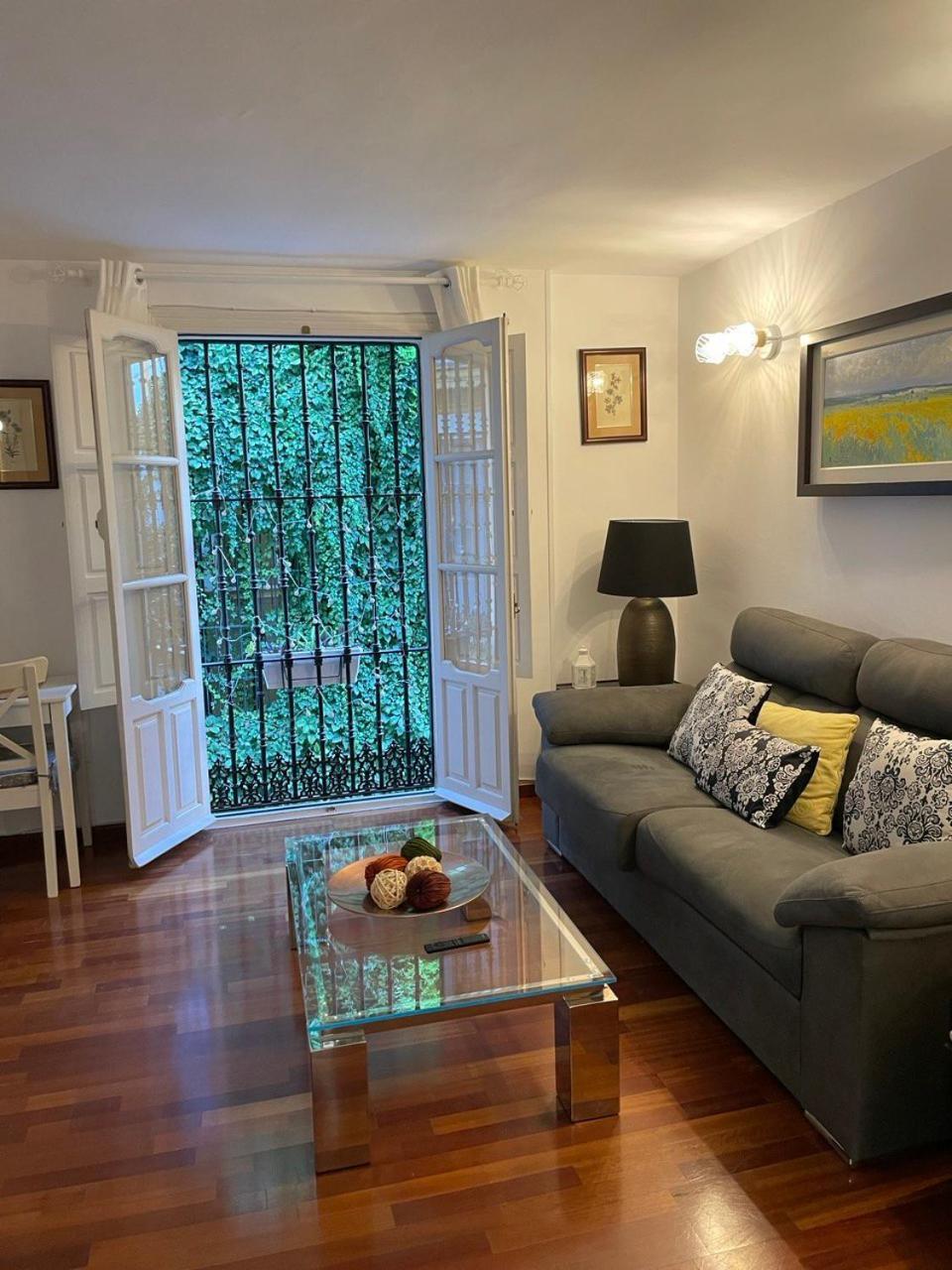 Appartamento Centro-casco Antiguo -vidrio 36 *